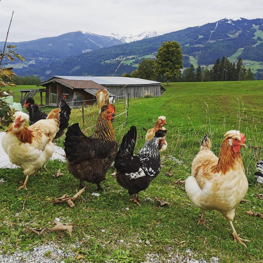 Burglehnerhof Aparthotel Ramsau am Dachstein Eksteriør bilde