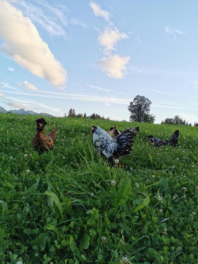Burglehnerhof Aparthotel Ramsau am Dachstein Eksteriør bilde