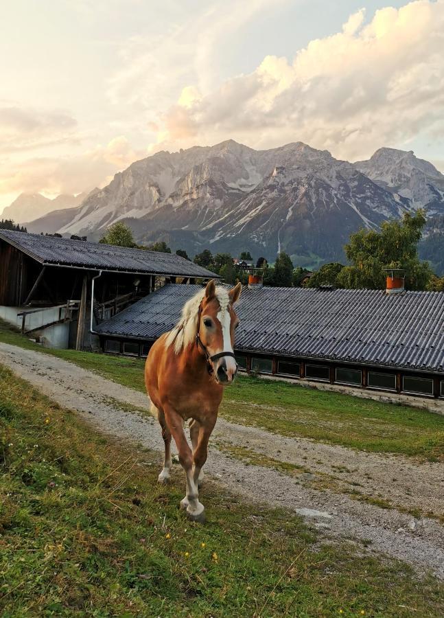 Burglehnerhof Aparthotel Ramsau am Dachstein Eksteriør bilde