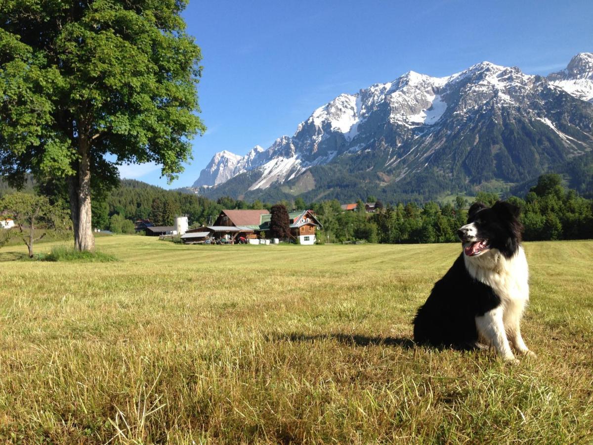 Burglehnerhof Aparthotel Ramsau am Dachstein Eksteriør bilde