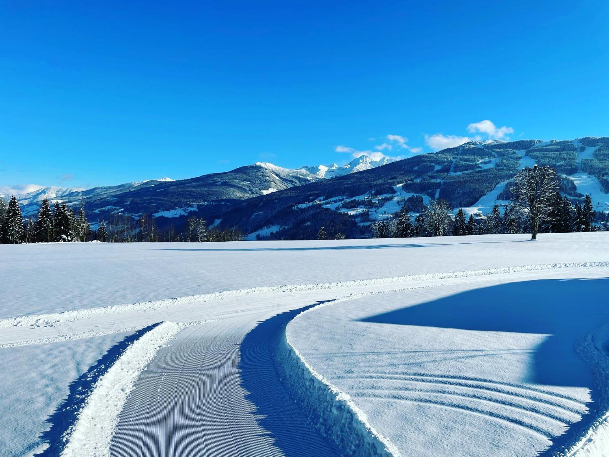 Burglehnerhof Aparthotel Ramsau am Dachstein Eksteriør bilde