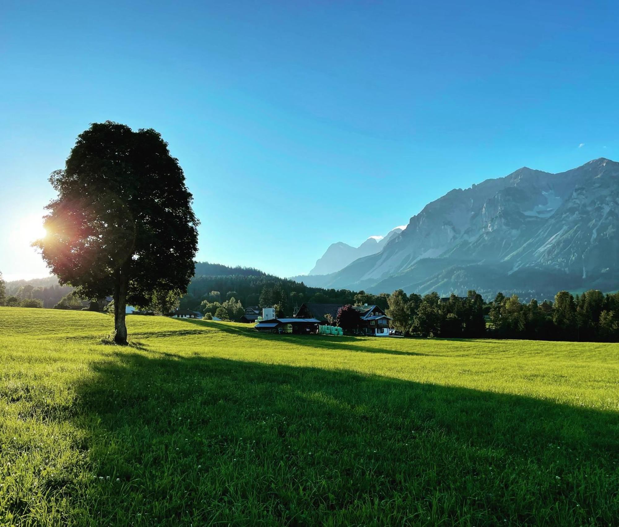 Burglehnerhof Aparthotel Ramsau am Dachstein Eksteriør bilde