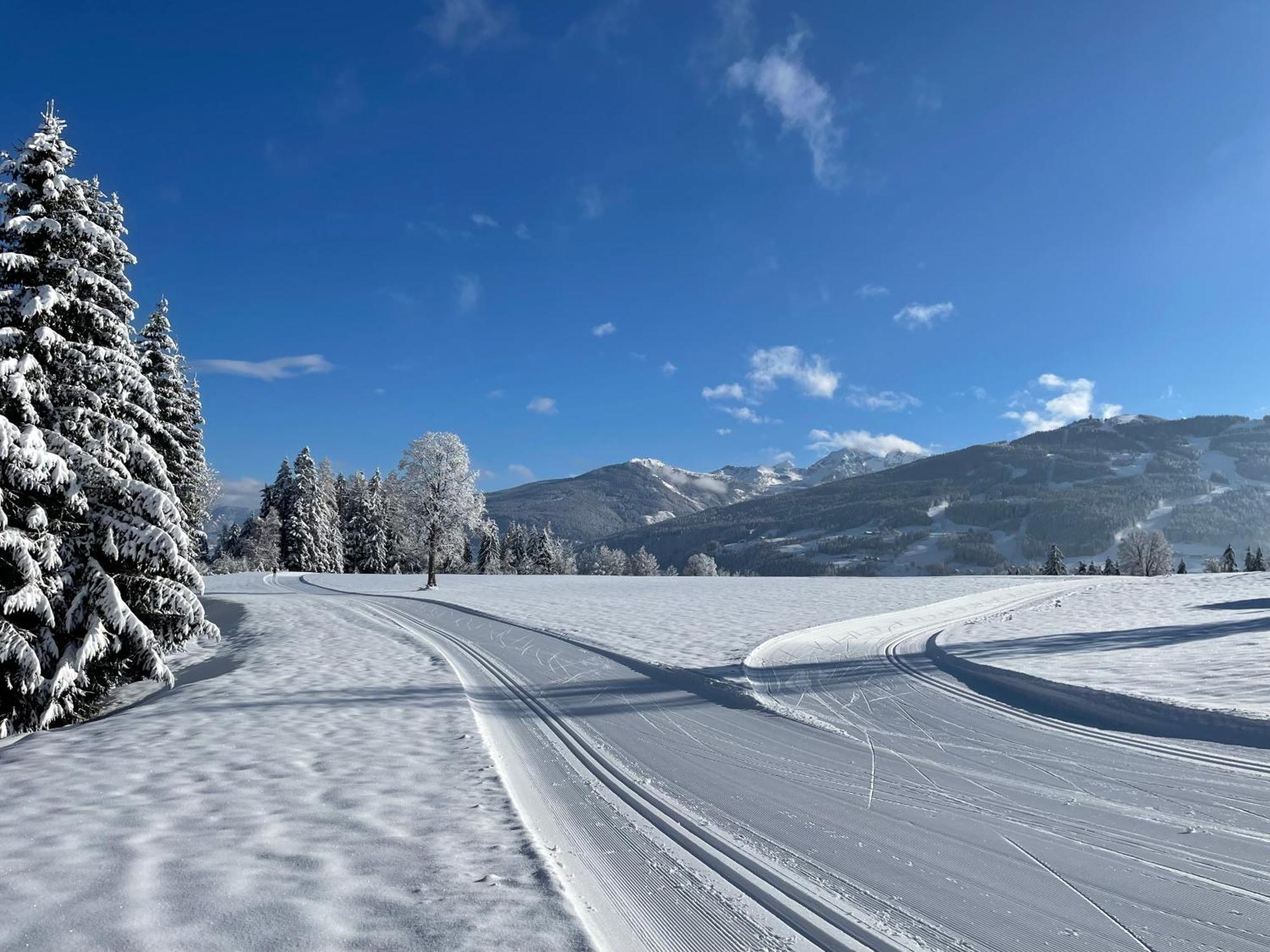 Burglehnerhof Aparthotel Ramsau am Dachstein Eksteriør bilde